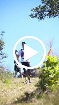 BIB:  <button type="button" onclick="openModal(26596545)" class="btn btn-primary btn-sm float-right" data-toggle="modal" data-target=".modal-high-quality">
                <i class="fa fa-download"></i> Download
                </button>